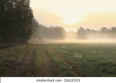 Autumn Landscape Misty Dawn In A Glade Oak Grove