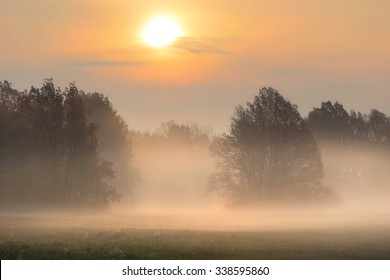 Autumn Landscape Misty Dawn In A Glade Oak Grove