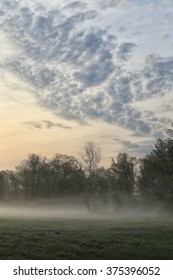 Autumn Landscape Misty Dawn In A Glade Oak Grove