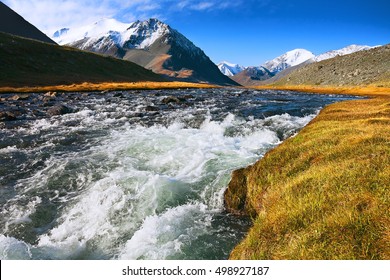 Autumn Landscape Mountain River With Rapid Current Of Water Flowing In The Middle Of Mountain Tops And Yellow Grass