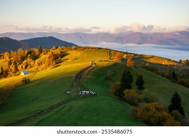 autumn landscape of mountainous countryside. sunny morning. rural fields and rolling hills. fog in the distant valley - Powered by Shutterstock