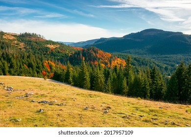 autumn landscape in mountains. trees and grassy meadow on the hillside. open view in to the valley. colorful nature scenery. wonderful sunny weather with clouds on the sky