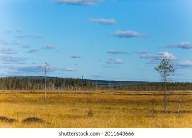 Autumn Landscape In Muonio, Lapland, Finland