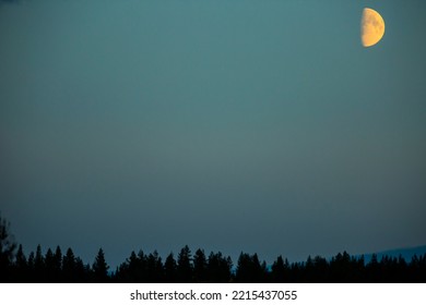 Autumn Landscape In Muonio, Lapland, Finland