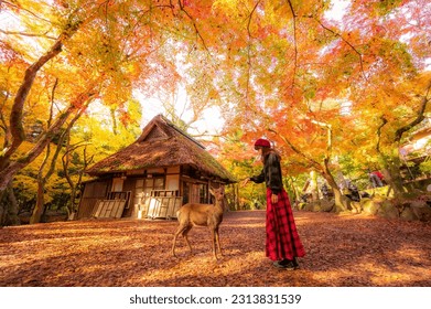 Autumn landscape in Nara national park - Japan. - Shutterstock ID 2313831539
