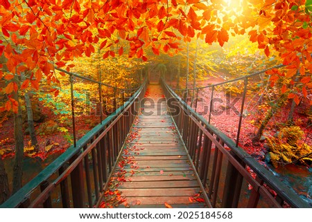 Autumn landscape in nature. Autumn colors in the forest. autumn view with wooden bridge over stream in deep forest in autumn season.