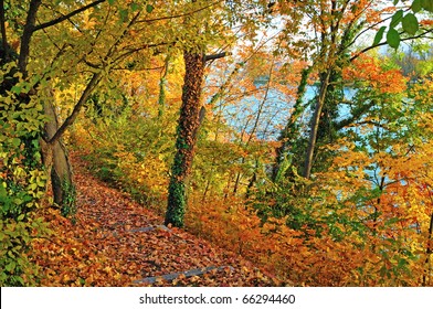 Autumn Landscape Near River Rhine