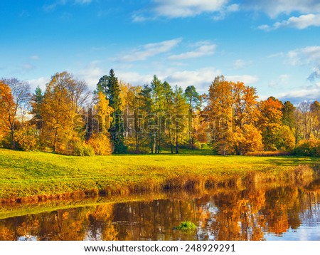 autumn landscape in park with river and blue sky
