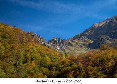 Autumn Landscape In The Pyrenees Mountains