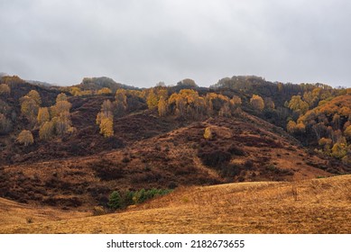 Autumn Landscape Of A Rainy Day In The Altai Mountains, Russia. Travel To Distant Beautiful Places Of The Planet. Scenic View Of Hills With Yellow Trees And Fog On Mountain Tops In The Background.