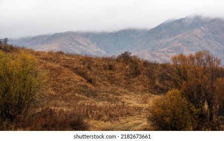 Autumn Landscape Of A Rainy Day In The Altai Mountains, Russia. Travel To Distant Beautiful Places Of The Planet. Scenic View Of Hills With Yellow Trees And Fog On Mountain Tops In The Background.