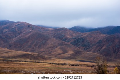 Autumn Landscape Of A Rainy Day In The Altai Mountains, Russia. Travel To Distant Beautiful Places Of The Planet. Scenic View Of Hills With Yellow Trees And Fog On Mountain Tops In The Background.