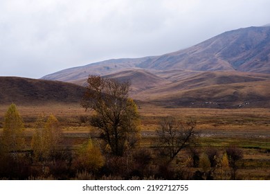 Autumn Landscape Of A Rainy Day In The Altai Mountains, Russia. Travel To Distant Beautiful Places Of The Planet. Scenic View Of Hills With Yellow Trees And Fog On Mountain Tops In The Background.