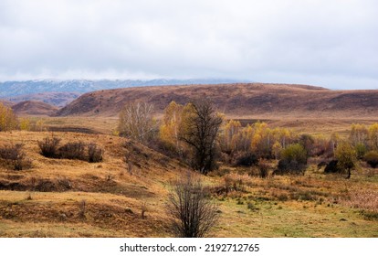 Autumn Landscape Of A Rainy Day In The Altai Mountains, Russia. Travel To Distant Beautiful Places Of The Planet. Scenic View Of Hills With Yellow Trees And Fog On Mountain Tops In The Background.