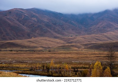 Autumn Landscape Of A Rainy Day In The Altai Mountains, Russia. Travel To Distant Beautiful Places Of The Planet. Scenic View Of Hills With Yellow Trees And Fog On Mountain Tops In The Background.