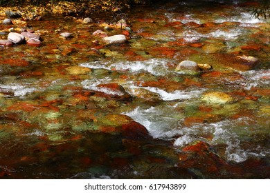 Autumn Landscape; Roaring Fork River Aspen, CO
