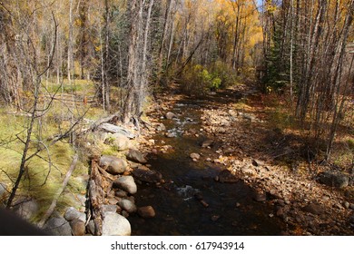 Autumn Landscape; Roaring Fork River Aspen, CO
