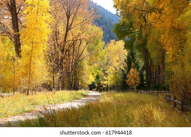 Autumn Landscape; Roaring Fork River Aspen, CO
