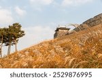 autumn landscape, scenery of Suwon Hwaseong in Korea