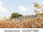 autumn landscape, scenery of Suwon Hwaseong in Korea