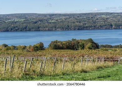 Autumn Landscape Of Seneca Lake And Vineyard In The Heart Of The Finger Lakes Wine Country, New York