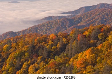 Autumn landscape of the Smoky Mountains in fog, Deep Creek Overlook, Great Smoky Mountains National Park, North Carolina, USA - Shutterstock ID 9236296