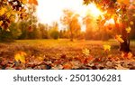 Autumn Landscape - Trees And Orange Foliage In Park At Sunset