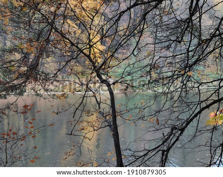 Similar – Foto Bild Am See Umwelt Natur