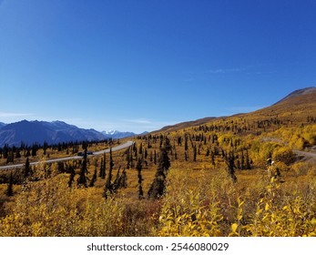 Autumn landscape: Vibrant yellow and golden foliage on rolling hills. Winding road bordered by evergreens. Distant mountain range under a bright blue sky. Serene, capturing fall's natural beauty. - Powered by Shutterstock