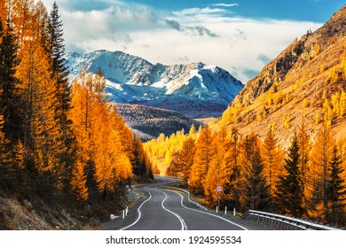 Autumn landscape. View of the Chui tract, autumn taiga, north Chuysky ridge, snow-capped mountain peaks. Altai Republic, Russia