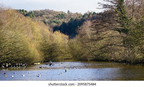 Autumn Landscape View In Etherow Country Park