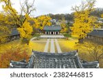 Autumn landscape of the yellow ginkgo tree foliage of Jeonju Hyanggyo in Jeonju, Korea. The Chinese characters in the picture are "Daesungjeon."