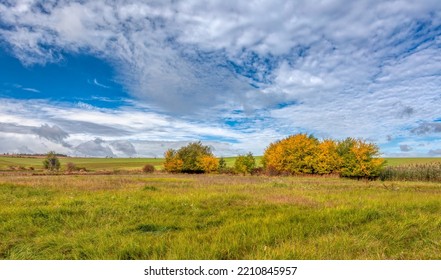 Autumn lanscape colour trees and meadow