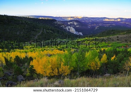 Autumn leaf colors on the slopes of Boulder Mountain from Scenic Byway 12, between Boulder and Torrey, Utah, Southwest USA