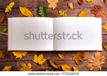 Similar – Image, Stock Photo Birch in autumnal back light