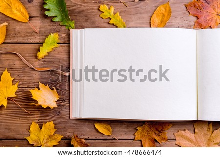 Similar – Image, Stock Photo Birch in autumnal back light