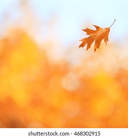 Autumn Leaf On Blurred Foliage Background.