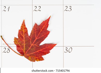 Autumn Leaf On A Calendar For The First Day Of Fall With Copy Space
