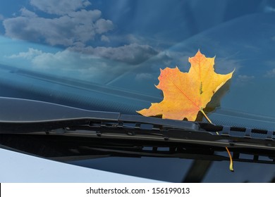 Autumn Leaf On A Car Windshield