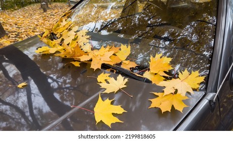 Autumn Leaf On A Car Windshield And Hood. Falling Leaves Of Maple Tree On Car. Abandoned Car Due Fuel Crysis.