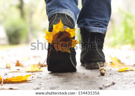 Autumn leaf on the shoe concept