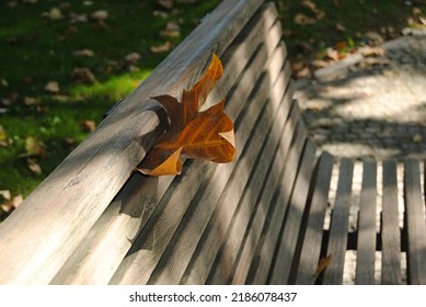 Autumn Leaf Stuck On A Garden Bench - Leaf Of A Dry Tree Stuck In The Middle Of Two Beams On The Back Of A Garden Bench