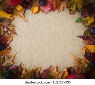 Autumn leafs frame. Natural  colours. - Shutterstock ID 1527279335