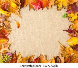 Autumn leafs frame. Natural  colours. - Shutterstock ID 1527279338