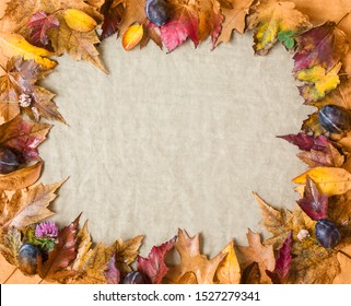 Autumn leafs frame. Natural  colours. - Shutterstock ID 1527279341