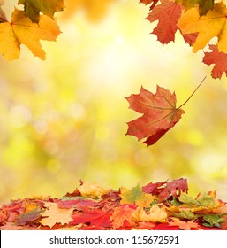 autumn leaves - Shutterstock ID 115672591