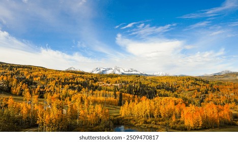 Autumn leaves and aspen trees in the San Juan mountains outside Telluride, Colorado - Powered by Shutterstock