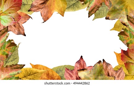 47 Fall Newsletter Banner Stock Photos, Images & Photography | Shutterstock