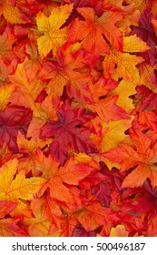 秋 縦 の画像 写真素材 ベクター画像 Shutterstock