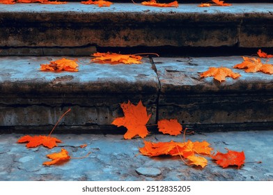 Autumn leaves background. Fallen maple leaves on the old textured stone staircase - autumn October landscape, cold tones applied - Powered by Shutterstock